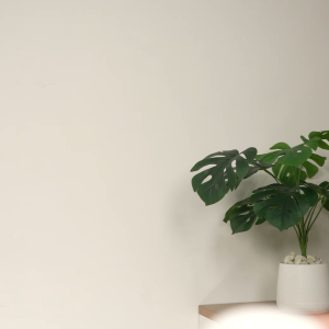 [ส่งฟรี] Moov EP01 หูฟังบลูทูธ TWS bluetooth 5.3 หูฟังไร้สาย ลดเสียงดีเลย์ ตัดเสียงรบกวน ระบบสัมผัส