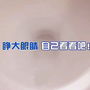 330ml Toilet Bowl cleaner Deodorant Blue Bubble Toilet Cleaner马桶清洁剂自动洁厕灵强力去污蓝泡泡液去异味厕所除臭神器