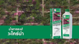 Nước Tẩy Rêu Mốc Cá Sấu Crocodile Moss Remover 0.5 lít (KCRE-00503)