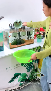 Pompa Air Aquarium & Alat Penguras Kolam Ikan: Panduan Lengkap