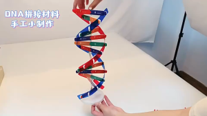 Model DNA / Model Double Helix DNA / Deoxyribonucleic Acid Model Untuk Edukasi Sains
