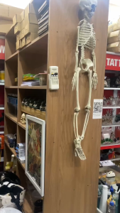 Bộ khung xương người trang trí phòng xăm cao 90 cm