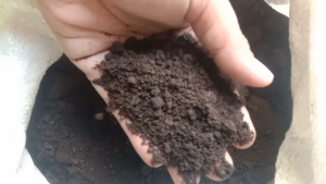 Tanah Lembang Murni Media Tanam & Semai Berkualitas