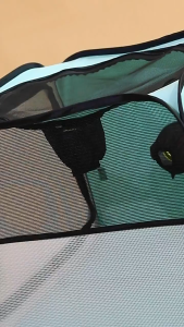 SP94 พร้อมส่งจากไทย คอกเป่าขนแมว คอกพับเก็บได้ ที่นอนสุนัขพาพกได้ ระบายอากาศได้ดี เป่าขนได้ด้วย