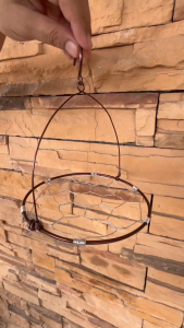 Air Plant - Tillandsia Hanger / Holder / Decoration