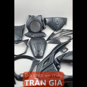 Combo full phụ kiện Carbon gắn xe Vision năm 2021 2022 2023 2024 ốp trang trí đầy đủ xe Vision đời mới nhất