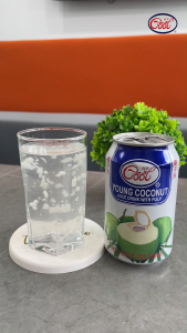 Ice Cool Young Coconut Juice with Pulp 500ml X 24 cans [CTN]