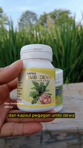 COD PAKET OBAT STROKE HERBAL MANJUR Kapsul Khusus Untuk Stroke Ringan Sebelah Kiri/Kanan