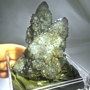 南非黑晶仙人掌水晶摆件/矿标矿物/晶簇/ Black Cactus Quartz Specimen/Crystal Figurine/ Black Spirit Quartz (Fairy Quartz)