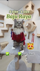 KUCINGJER Malaysia Baju Raya Melayu Kucing Baju Kurung Baju Melayu Raya Aidilfitri Kotak Kucing Kostum Hari Raya 马来 新年 猫 衣服