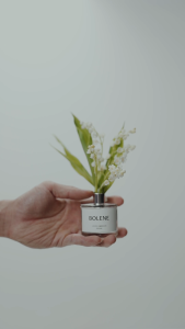 Bolene Loves Embrace Perfume 50ml