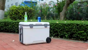 Orzee Outdoor Cooler Box 45L Insulated Portable Cooler Hard Cooler Great for Beach Picnic Camping Groceries