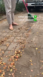 Sapu Taman Cakar Plastik Tanpa Gagang