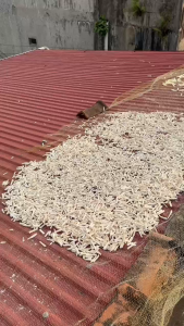 (LOẠI ĐẶC BIỆT) Khoai khô - Khoai xéo - Khoai chen dùng để làm bột và nấu chè