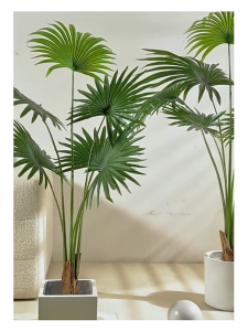 🌼ความจำลอง 99%🌼ต้นไม้มงคลปลอม 45/50/70/90 ฟรีกระถางดอกไม้ต้นไม้+หินตกแต่ง สไตล์นอร์ดิก ในบ้าน ต้นไม้มงคล ต้นไม้ประดิษฐ์ ต้นไม้ปลอม ต้นไม้ปลอมตกแต่งบ้าน ต้นไม้ตกแต่งบ้าน ต้นไม้ปลอมสวยๆ ต้นไม้ปลอมใหญ่ ต้นไม้เทียม ต้นไม้แต่งห้อง ต้นไม้มงคลสวยๆ