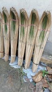 Cần Câu Cắm Cá Trê Lóc  Rô ( Combo 10 Cây  20 Cây  40 Cây )