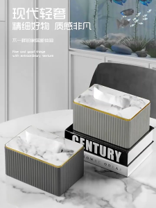Tranquil Tissue Box: Simple Luxury in Modern Living Room Design