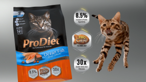 ProDiet Adult Starter Kit Cat Food [starter pack makanan kuching]