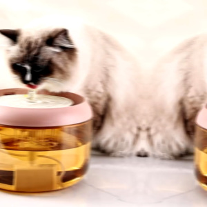 น้ำพุสัตว์เลี้ยง น้ำพุแมว 2.2L ให้น้ำอัตโนมัติน้ำพุสัตว์เลี้ยง มีใส้กรองอยู่ในตัว พร้อมส่งในไทย