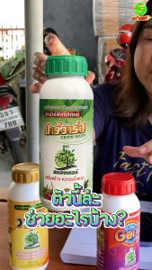 กระตุ้นการแตกราก เร่งเปิดตาใบ อัตราการงอกสูง เสริมสร้างความแข็งแรงให้กับเซลล์พืช โกร์วาร์ป 3 ขวด ต้นพืชแข็งแรงต้านทานโรคและแมลง สินค้าพร้อมจัดส่ง