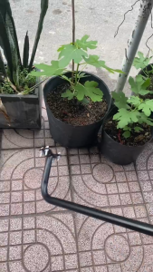 Tay Nắm Giữ Thăng Bằng Cho Bé Tập Đi Xe Đạp Bằng Hợp Kim Chắc Chắn