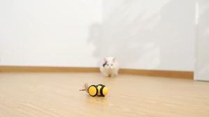 Cat Electric Toy Auto Running Little Cute Bee Interactive Cat Teaser New Version [Type-C Charging]