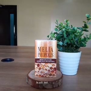 Propolis Melia New Ori 55 ml | terapi penyembuhan berbagai penyakit seperti luka luka bakar radang tenggorokan maag dan radang gigi