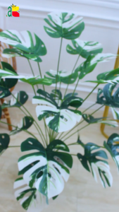 TANAMAN MONSTERA VARIEGATA D24 B8402 DEKORASI HIAS RUMAH KANTOR CAFFE ARTIFICIAL
