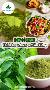 Bột cỏ ngọt sấy lạnh hữu cơ 100g - Chợ Thảo Dược Việt