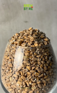 มอลต์ Oak Smoked Wheat Malt – Weyermann® ทำเบียร์