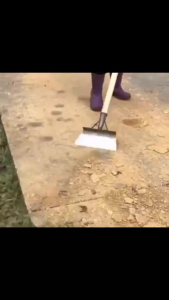 Sekop Tanah Penyiangan Multifungsi Ukuran 30cm Sekop Kotoran Sapi Baja Mangan Sekop Rata Sekop Pembersih Kotoran