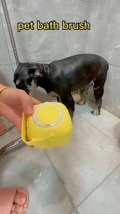 Soft Silicone Pet Shower Brush | Pet Grooming Bath Brush