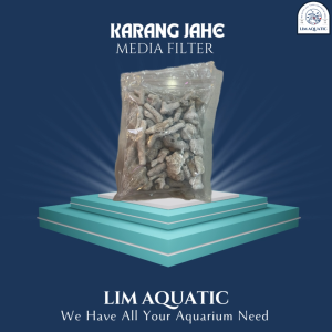 Karang Jahe Media Filter: Solusi Filter Aquarium & E-Commerce
