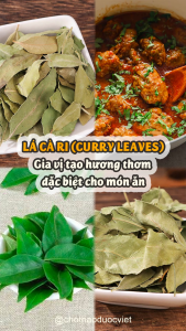 Lá cà ri khô 100g (Curry leaves) - Chợ Thảo Dược Việt