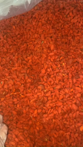 Hạt kỷ tử đỏ sấy khô SIZE 3A hạt to đỏ khô sạch- gói 200gr Food