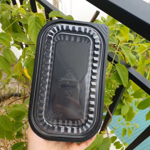 SET 50 Khay Hộp nhựa Hình Chữ Nhật MẠNH ĐỨC - Hộp đế đen nắp trong