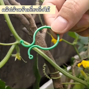 คลิปสำหรับเกี่ยวกิ่งไม้(100 ชิ้น/PAX) สายรัดต้นไม้กับซุ้ม อุปกรณ์เสริมทำสวน พร้อมส่งในไทย สำหรับปลูกต้นไม้ สำหรับงานสวน สำหรับไม้เลื้อย เกี่ยวกิ่งไม้ เคเบิลไทป์ การ์เด้น พยุงกิ่งไม้ 1000 กิ่งไม้กับซุ้มต้นไม้ กันต้นไม้ไม่ให้ล้ม