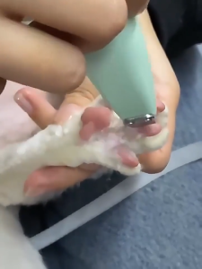 Pet Cat Dog Electric Pet Clippers Cats Dog Foot Hair Trimmer Pet Paw Hair Clipper Shaver Grooming Machine USB Rechargeable
