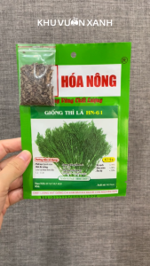 Hạt giống rau Thì Là Gói 5gr (Trồng quanh năm)