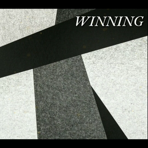 Polypropylene Luggage