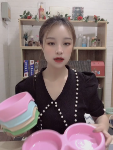 BÁT NHỰA ĐƠN ĐỀ THỨC ĂN NƯỚC UỐNG CHO THÚ CƯNG (MÀU NGẪU NHIÊN)