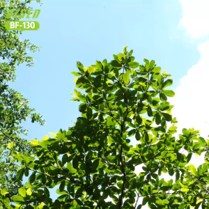 BISEN BF-130 Handheld Fan USB  Digital-display High Speed Turbo Mini Portable Jet Fan