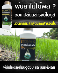 🌿 **สารจับใบ Bionax** 🌿 **ช่วยให้ปุ๋ยและยาทำงานได้ดีขึ้น ใบโต ผลดก** **สินค้าของแท้จากโรงงาน ระวังของปลอม!**
