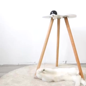 Exclusive Offer: Smart Pet Toy - Paw Boutique Electric Motion Cat Toy