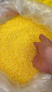 Hạt Kê vàng Đã Tách Vỏ Cho Bé Ăn Dặm Nấu Bánh Kê Chè Cháo Kê Đặc Sản Nghệ An- Hạt kê vàng