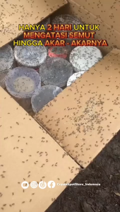 DEXMUT 1.75 GR SACHET 5 GRAM INSEKTISIDA PEMBASMI SEMUT KEMASAN SACHET