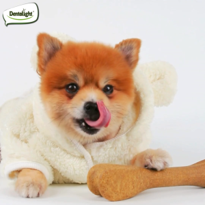 Nutri Diner 8 Inch Dental Bone Treat for Dogs - Beef Flavor 220 Grams
