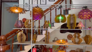 Đèn hắt tường đèn ốp Trần- Hoa Hồng