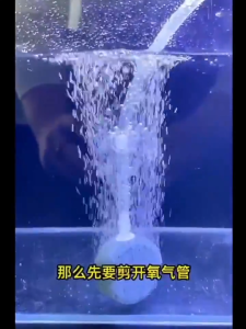 คุณสมบัติของวาล์วกันย้อน วาล์วกันน้ำย้อนกลับ สีฟ้า / แบบใส หนาพิเศษ