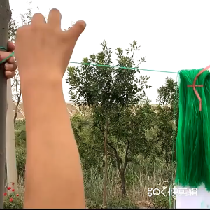 100M Plant Climbing Net Support Net Plant Support For Pea Trellis Climbing Cucumber Mesh Durable
